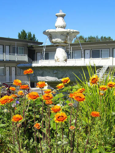 Comox Valley Inn & Suites Courtenay Zewnętrze zdjęcie